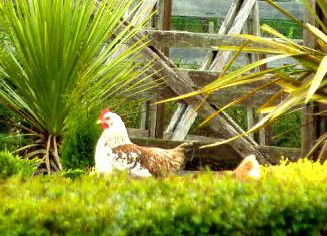 Hazelcreek Cottages - Holiday Find 5