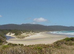 Cloudy Bay Cabin - Holiday Find 1
