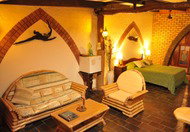 Cedar Park Rainforest Resort - Holiday Find 0