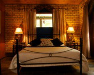 Cedar Park Rainforest Resort - Holiday Find 3