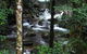 Daintree Secrets (Award Winning Retreat) - thumb 2