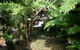 Daintree Secrets (Award Winning Retreat) - thumb 4