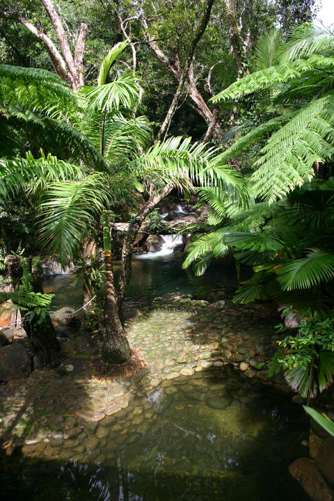 Daintree Secrets (Award Winning Retreat) - Holiday Find 4