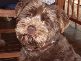 Lagoon Pocket Bed And Breakfast - Holiday Find 0