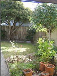 Rose Cottage Bed & Breakfast - Holiday Find 1