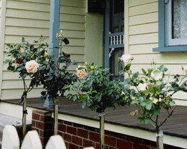 Rose Cottage Bed & Breakfast - Holiday Find 3