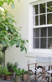 Camellia Cottage Bed & Breakfast - Holiday Find 2