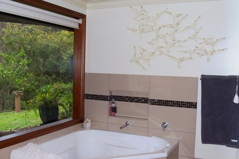 Bellbird Cottage Bed And Breakfast - Holiday Find 3