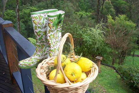 Bellbird Cottage Bed And Breakfast - Holiday Find 4