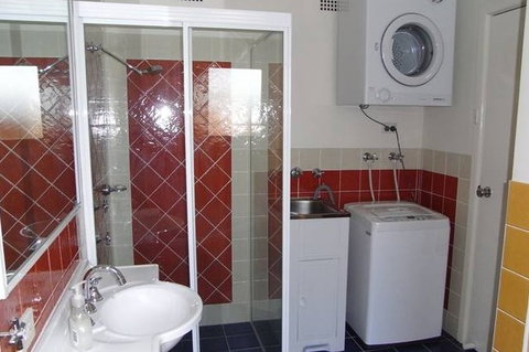 A Husky Sea-Esta - Holiday Find 0