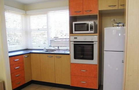 A Husky Sea-Esta - Holiday Find 3