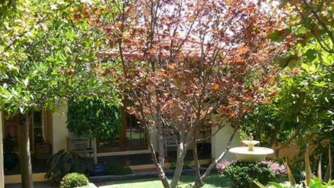 Akame - Holiday Find 0