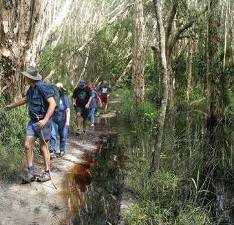 Bondi Forest Lodge - Holiday Find 3