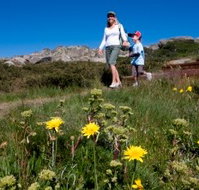 Horizons Apartment 407 - Holiday Find