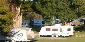 Bellinger River Tourist Park - Holiday Find 3