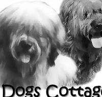 2 Dogs Cottages - Holiday Find