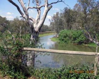 The Shanty Waterside Cottages - Holiday Find 0
