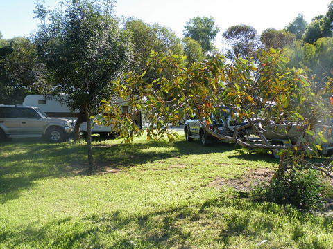 Kyalite Caravan Park - Holiday Find 3