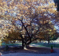 Hillview Oak Bed and Breakfast - Holiday Find