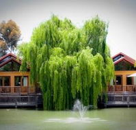 Perricoota Vines Retreat - Holiday Find