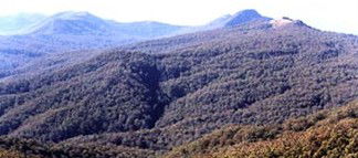 Carrowbrook NSW Holiday Find