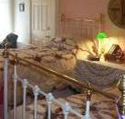 A Winter-Rose Cottage Bed and Breakfast - Holiday Find