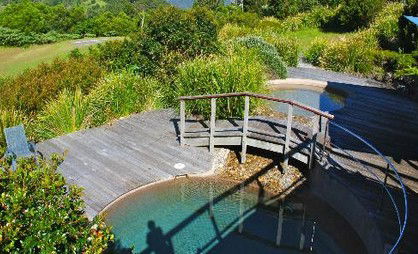 OReillys Rainforest Retreat - Holiday Find 4