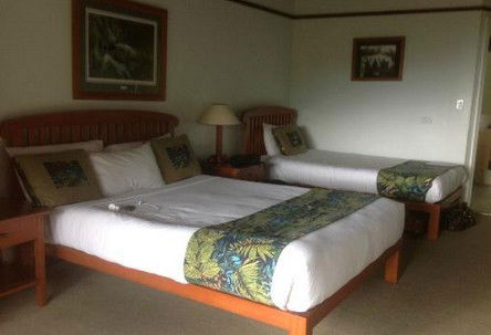 OReillys Rainforest Retreat - Holiday Find 5