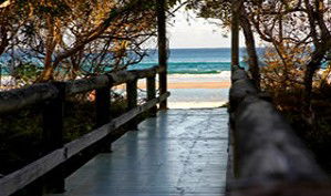 Anchorage Beachfront Island Resort - Holiday Find 4