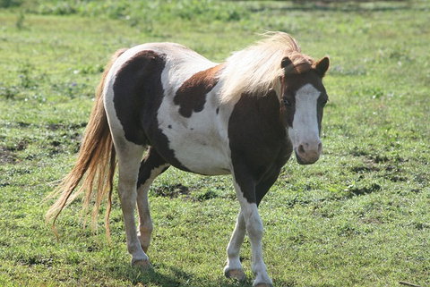 Lee Farmstay - Holiday Find 4