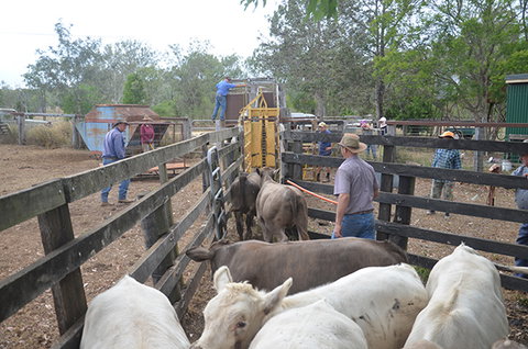 Lee Farmstay - Holiday Find 7