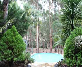Fern Gulley Retreat - Holiday Find 0