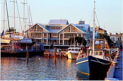 Pelicans Landing - Holiday Find 0