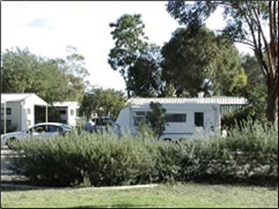 Banksia Tourist Park - Holiday Find 3