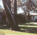 Winbi River Resort - Holiday Find