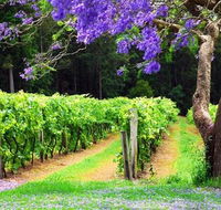 Bago Vineyards - Holiday Find