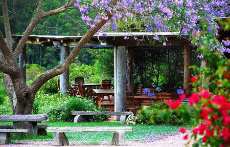 Bago Vineyards - Holiday Find 1