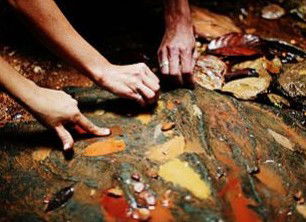 Daintree Eco Lodge And Spa - Holiday Find 0