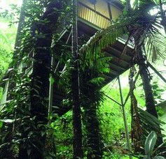 Daintree Eco Lodge And Spa - Holiday Find 1