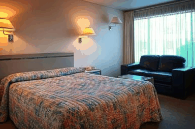 Comfort Inn Sunrise - Holiday Find 4