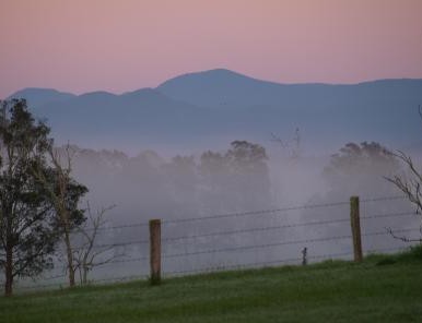 The Knoll - Holiday Find 2