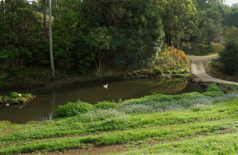 Wattle Gully Retreat - Holiday Find 4