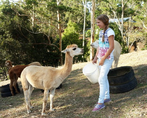 Wattle Gully Retreat - Holiday Find 5