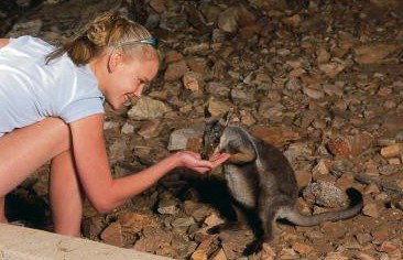 Heaviytrr Gap Outback Lodge - Holiday Find 5