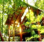 The Canopy Treehouses - Holiday Find