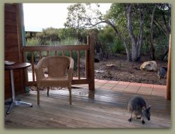 Kangaroo Island Wilderness Resort - Holiday Find 1