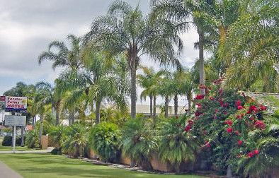 Forster Palms Motel - Holiday Find 2