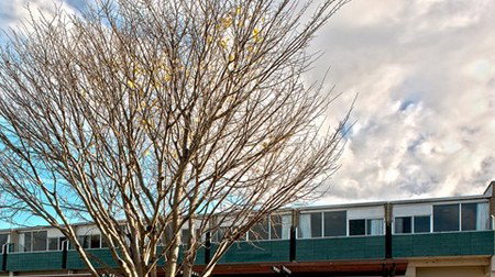 St Helens Bayside Inn - Holiday Find 1