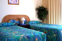 International Beach Resort - Holiday Find 0