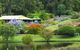 Lavender And Berry Farm - thumb 0